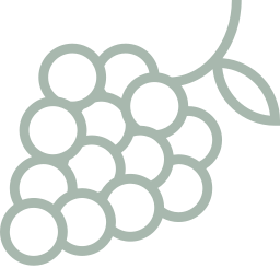 Icône illustrative cépage de vigne - Expertise pépiniériste viticole.