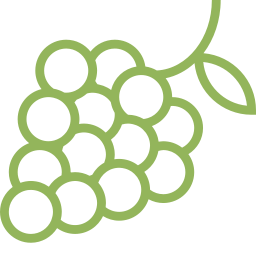 cône illustrative cépage de vigne - Expertise pépiniériste viticole.